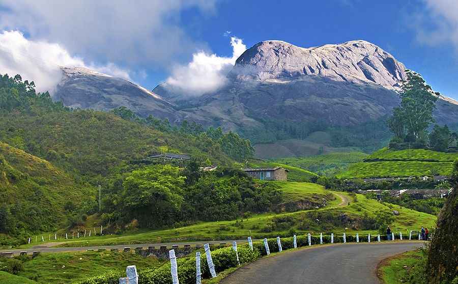 A Cool Road to Munnar in the Western Ghats