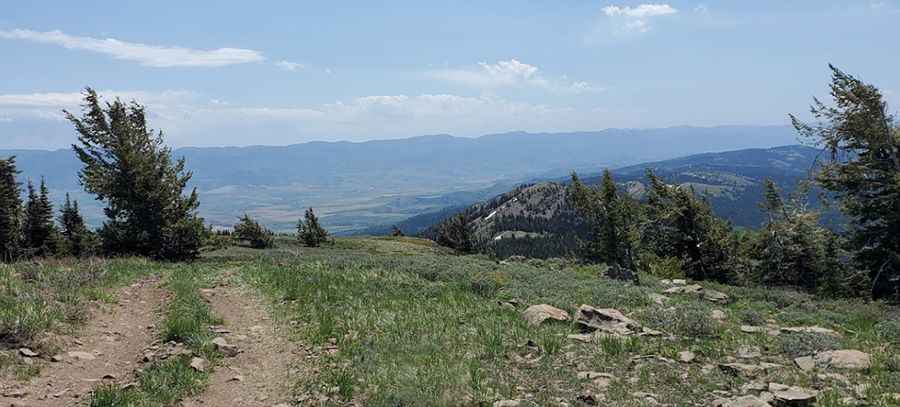 A defiant road to Baldy Mountain in ID