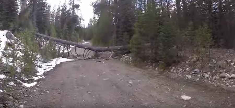A drive to the top of Henness Pass in California