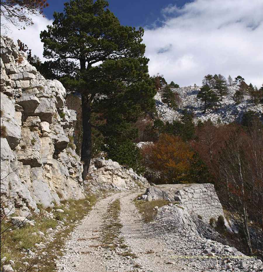 A memorable 4x4 road to Orjen Saddle in Montenegro