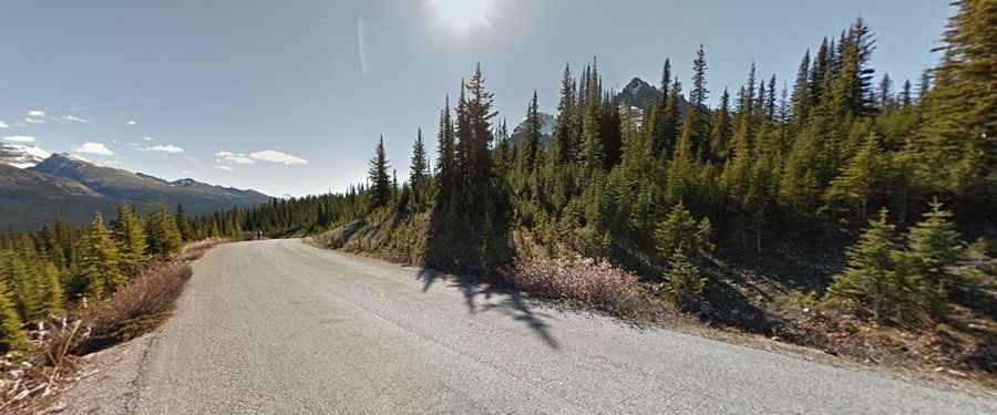 A Memorable Road Trip to Bow Summit in the Canadian Rockies