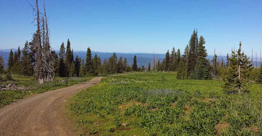 A memorable road trip to Indian Rock