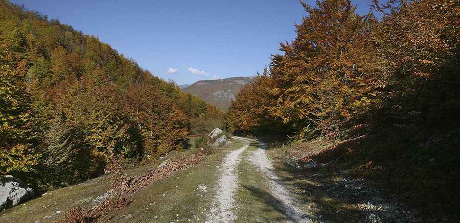 A Memorable Road Trip to Karaula Zastan