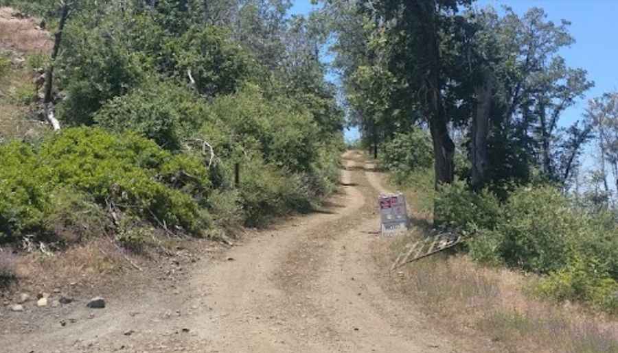 A memorable road trip to Pilot Peak in California