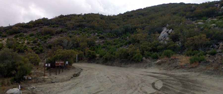 A memorable road trip to Santa Rosa Mountain in CA