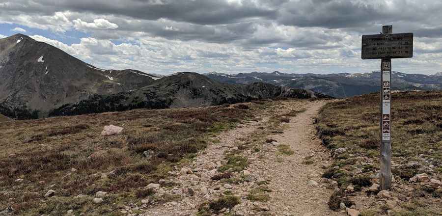 A mining road to Rogers Pass