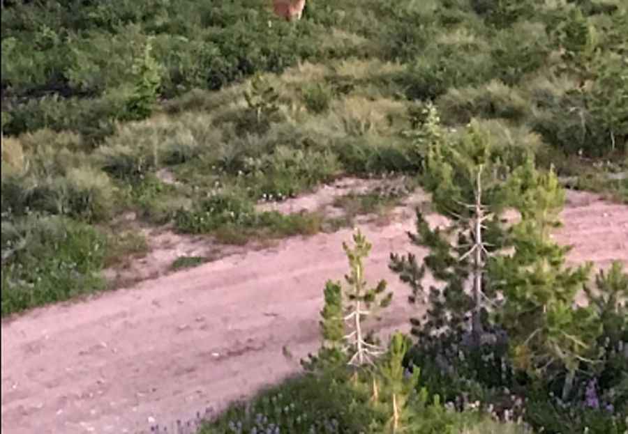 A rugged single-lane road to Surveyors Ridge in ID