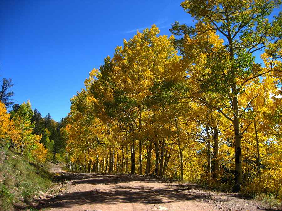 A scenic unpaved road to Cordova Pass in southern Colorado