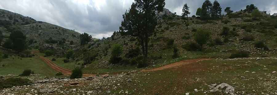 A wild road to Mirador de Juan León