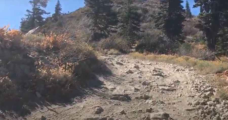 A wild road to Pilot Peak in Plumas County (CA)