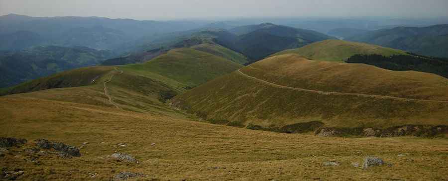 A wild road to Șaua Grădișteanu