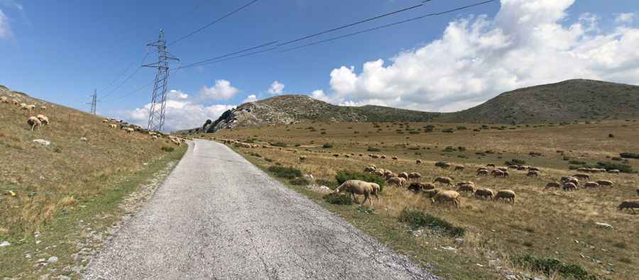 A wild road to Zare Lazarevski