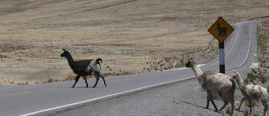 Abra de Toroya, a winding road only for experienced drivers