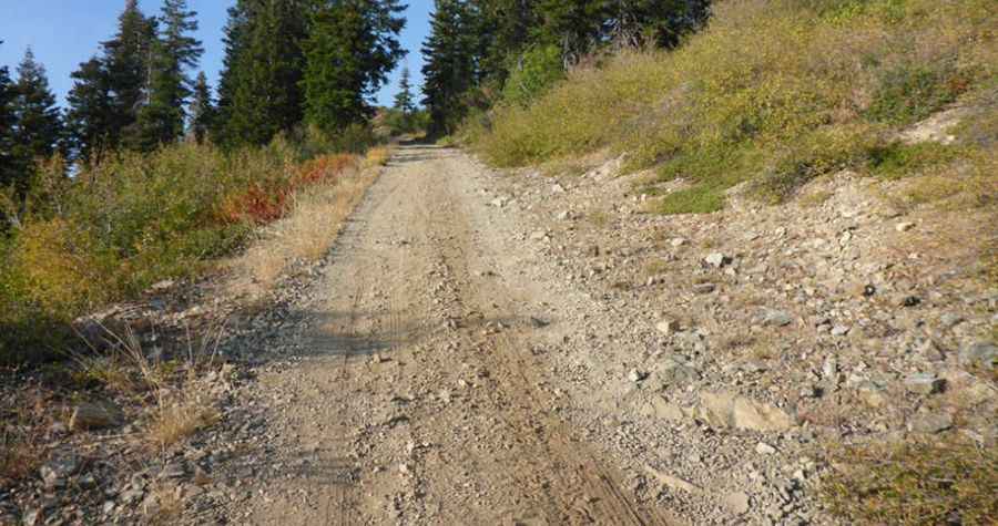 An epic enthralling road to Bolan Peak in OR