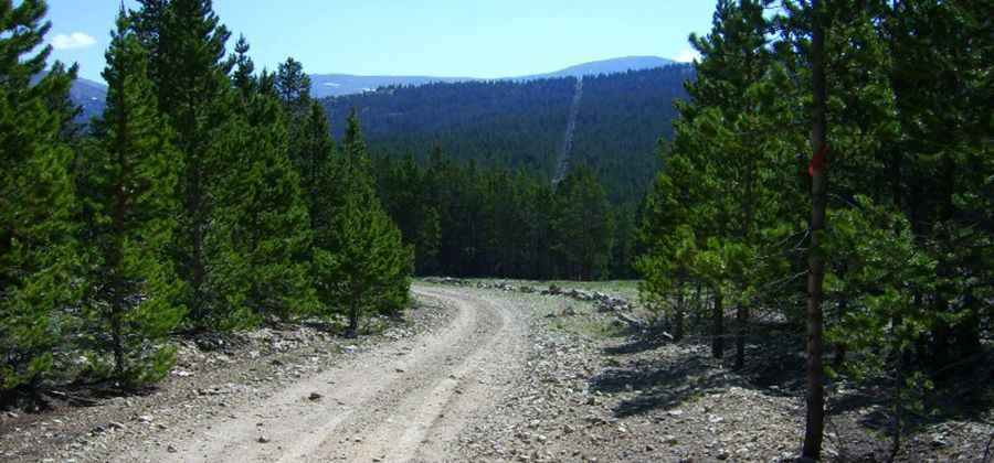 An old mine road to Ball Mountain