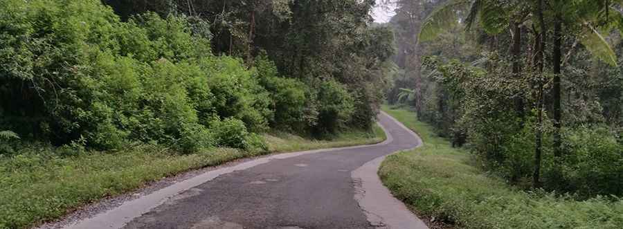 An unforgettable road to Kawah Putih in Indonesia