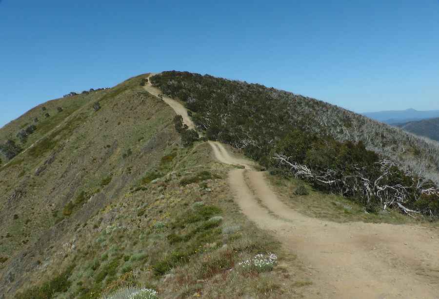 Blue Rag Range Track is only for 4WD cars with good clearance