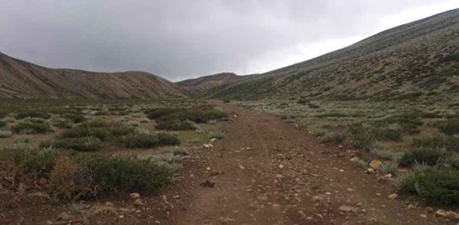 Can you drive through Niti Pass?