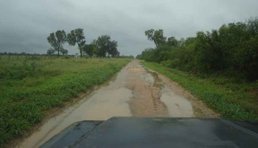 Carretera Picada 108: Crossing the Wild Chaco to the Bolivian Border