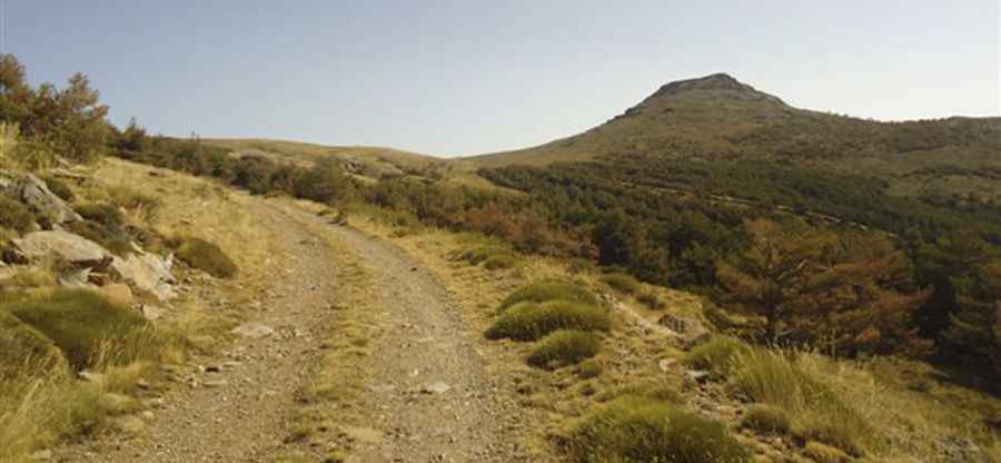 Cerro Almirez: Driving the 31 hairpins of Almeria’s high Sierra Nevada