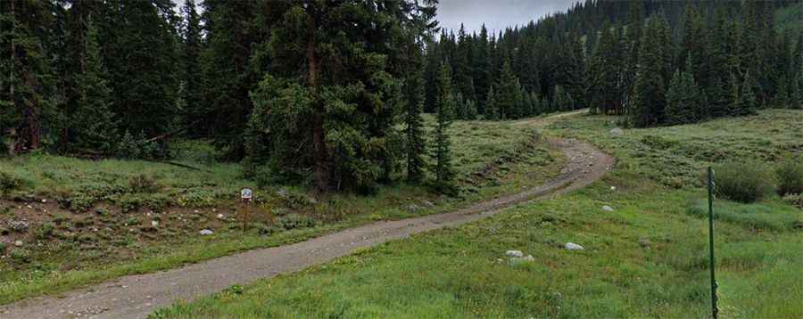 Chalk Mountain: a rough forest road to the summit