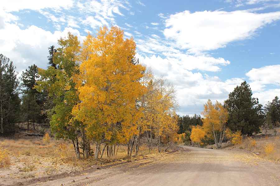 Cochetopa Pass is an unforgettable road in Colorado