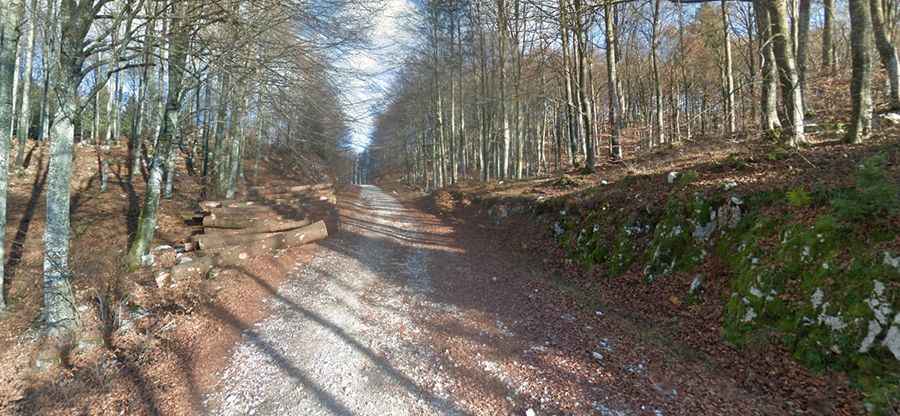 Col dei S'Cios: Driving the scenic Strada della Dorsale in Pordenone