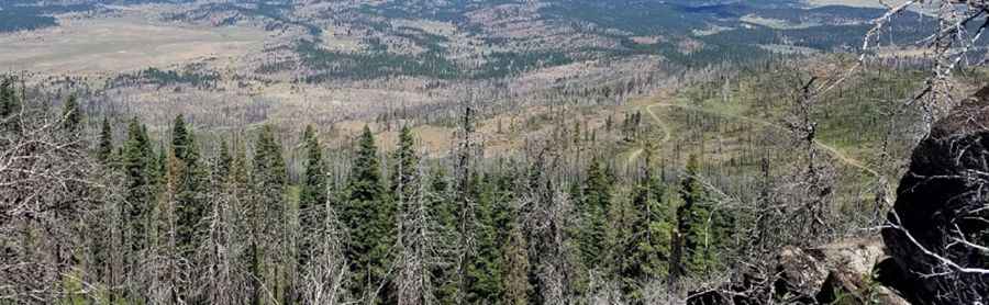 Dog Mountain: Driving the NF-406 road to the 6,929ft lookout in Oregon