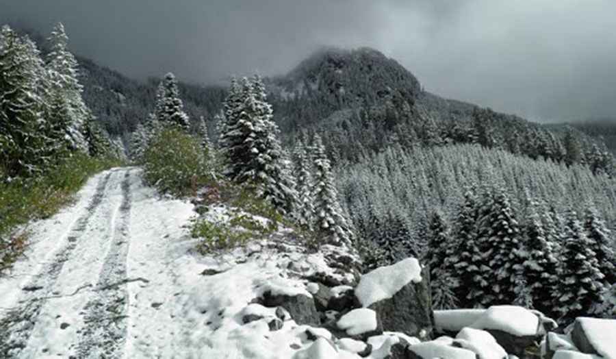 Driving One of the Toughest Tracks in the World to Alpha, Beta, and Gamma Lakes in BC