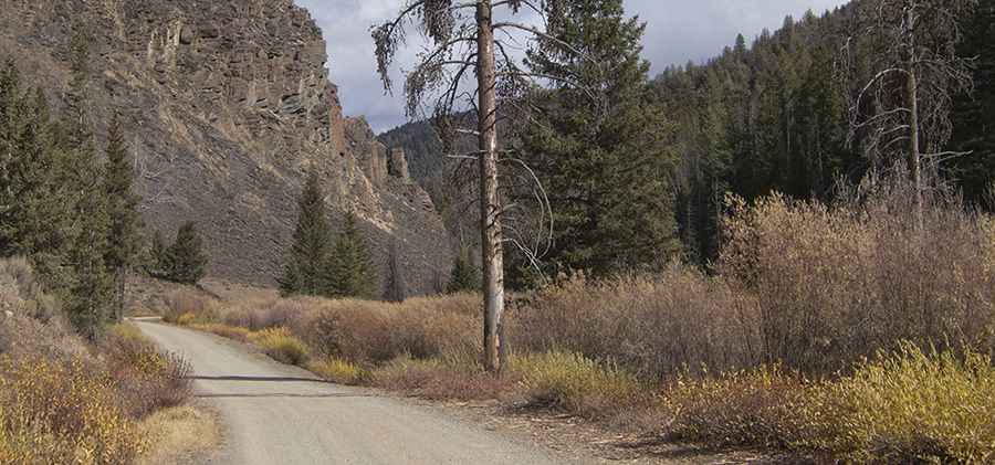Driving the Custer Motorway to Mill Creek Summit