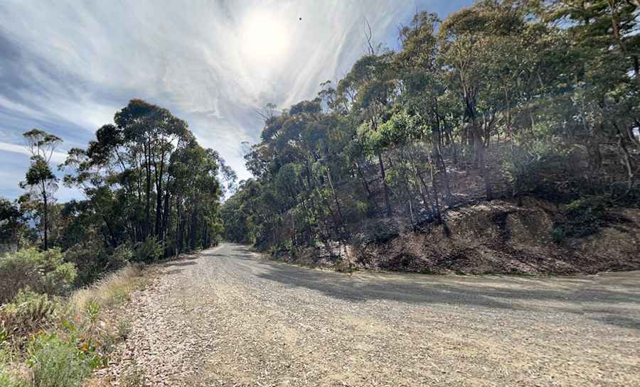 Driving the narrow Walhalla Road in Victoria