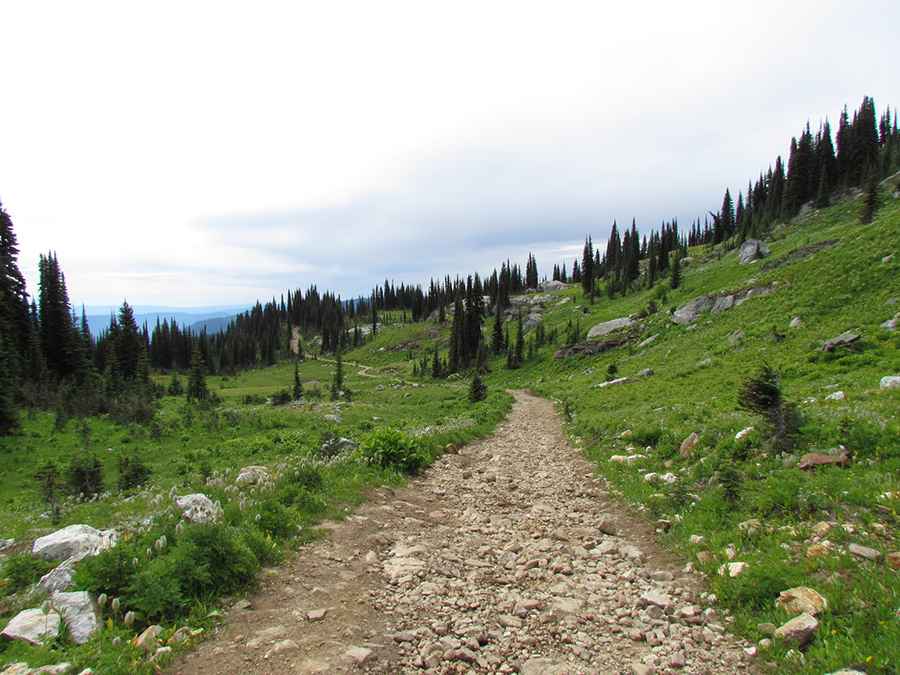 Driving the Rough 4x4 Road to the Lookout at Mara Mountain in BC