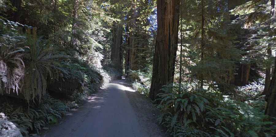 Driving the scenic Howland Hill Road in California