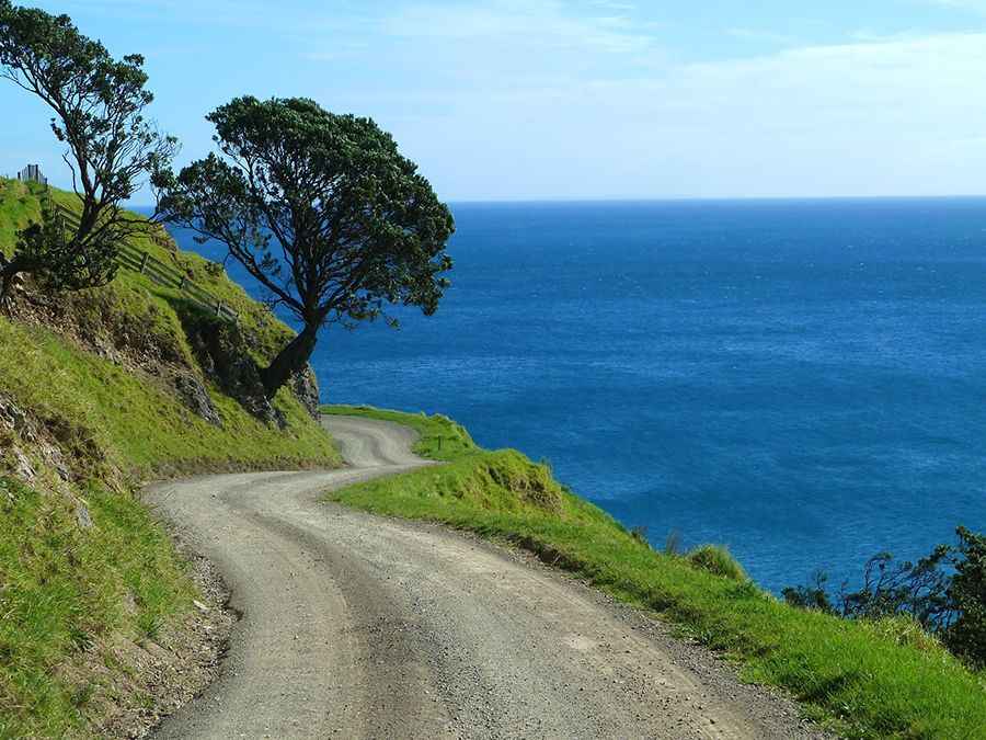 Driving the terrifying coastal road to Port Jackson in NZ