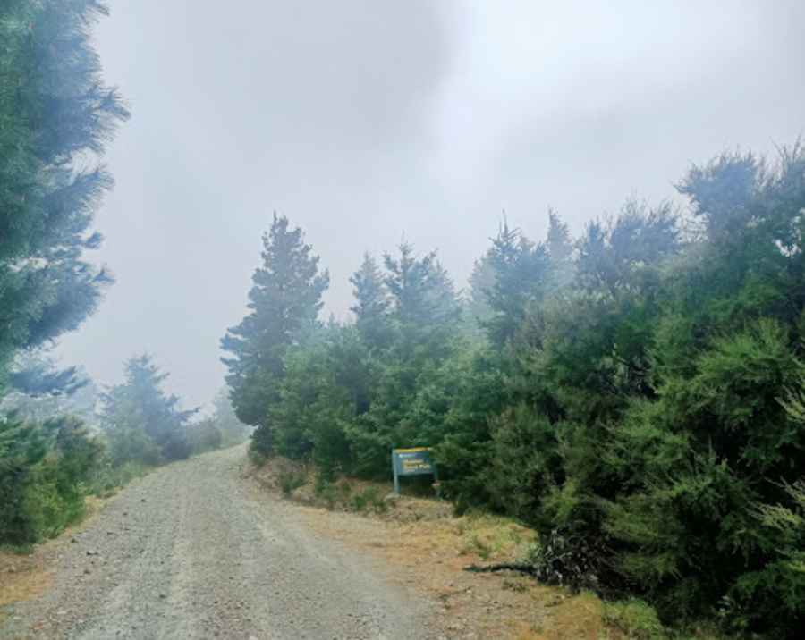 Driving the unpaved road to Jollies Pass in Hanmer Springs
