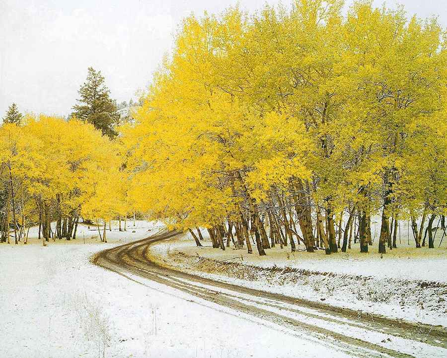 Driving the Wild 4x4 Road to the Lookout at Cornwall Hills in British Columbia