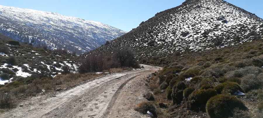Driving the wild Collado del Tejo