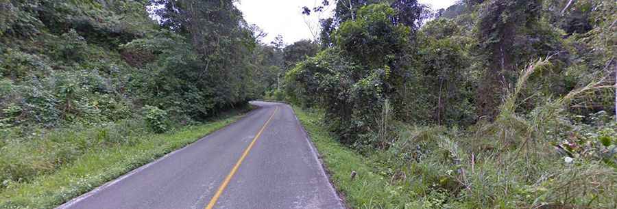 Driving through the Mexican Federal Road 307