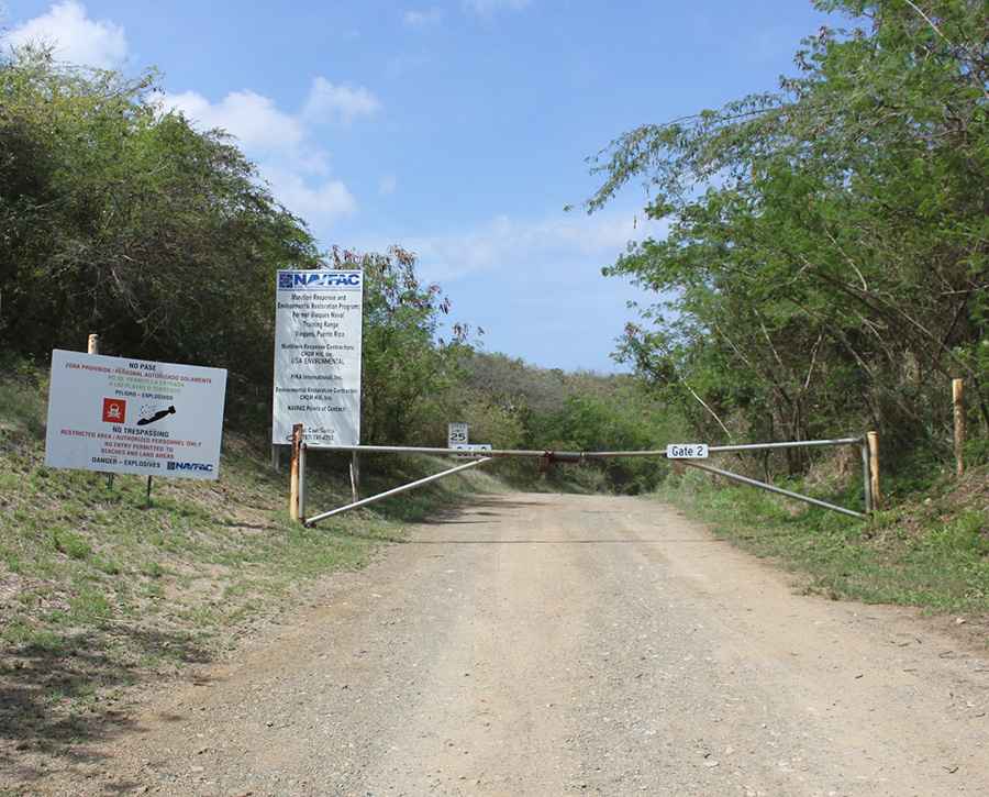 Getting to Vieques: Essential Logistics