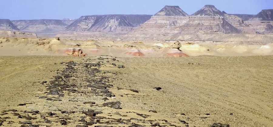Giza Road is the world’s oldest known paved road
