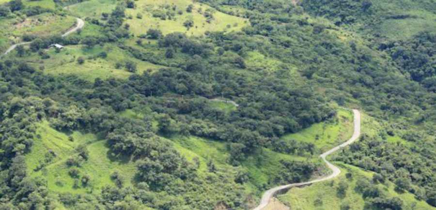 Honey-Xicotepec Road