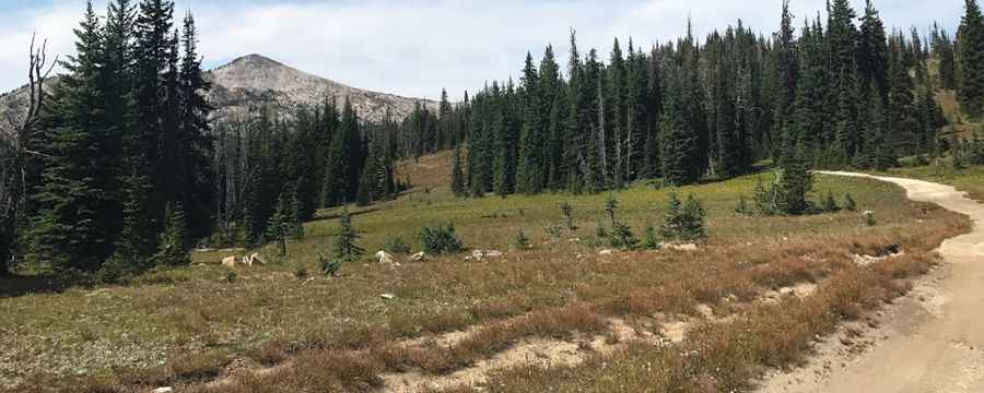 How difficult is the road to Mineral Hill (NF-202)?