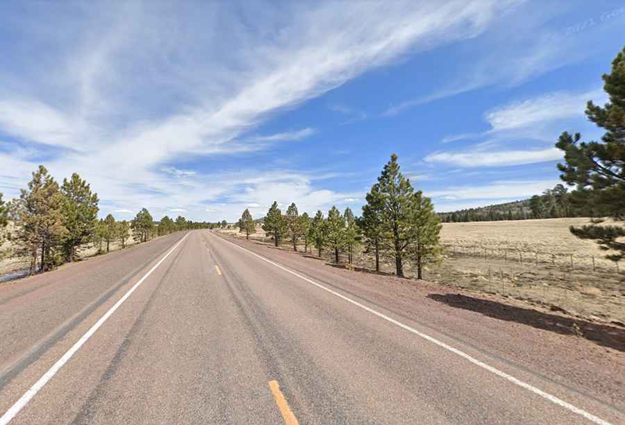How long is Arizona State Route 273?