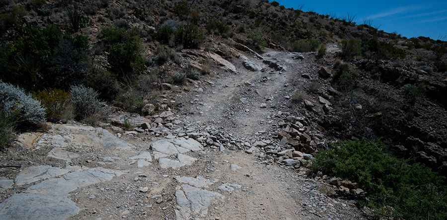 How long is Black Gap Road in Big Bend?