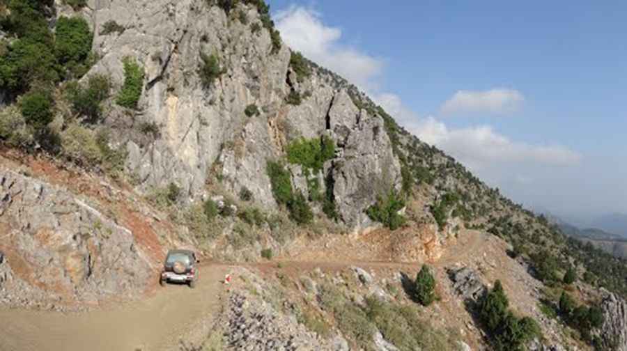 How long is D-687 road?