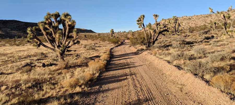 How long is Gold Butte Back Country Byway in NV?