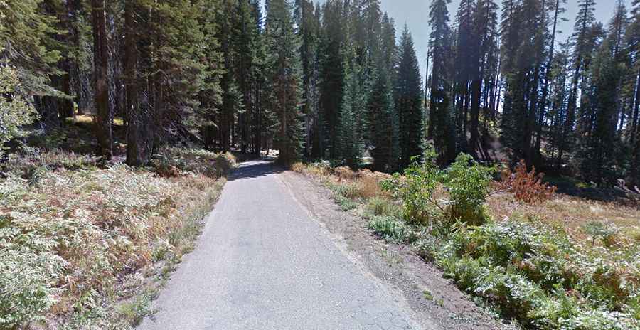 How long is Panoramic Point Road in Kings Canyon NP?