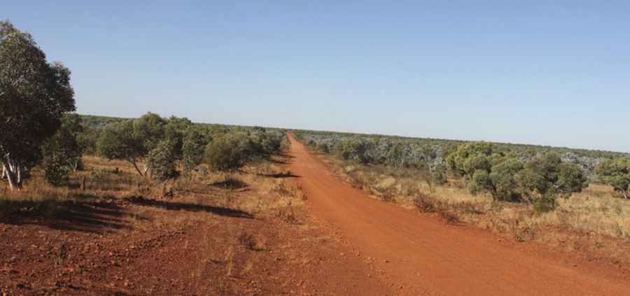 How long is the Buntine Highway?