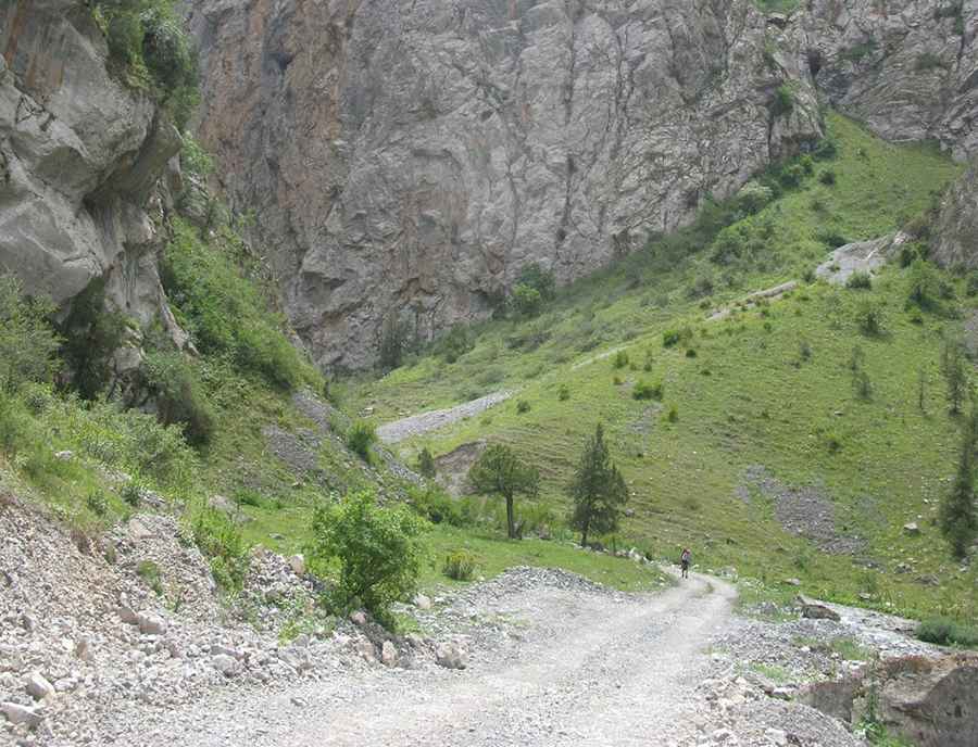 How long is the road through Kosh-Moynok Pass?