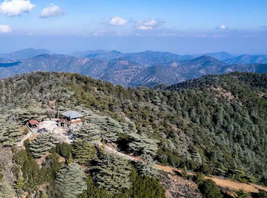 How long is the road to Mount Tripylos?